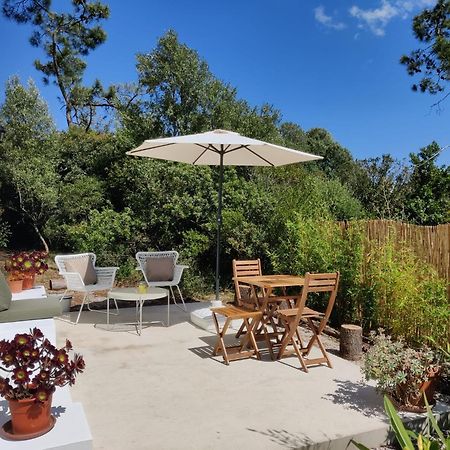 Quinta Do Alento Bed & Breakfast Сесимбра Екстериор снимка