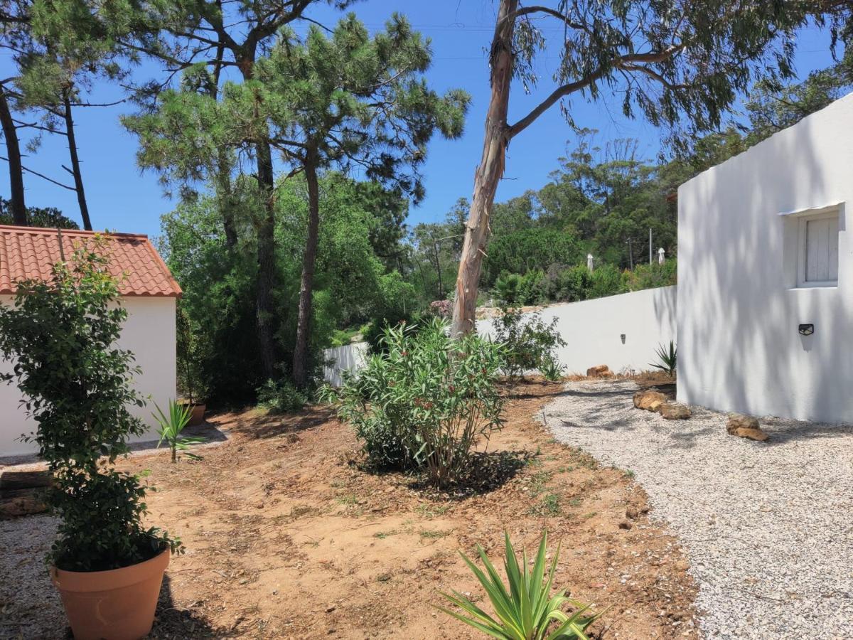 Quinta Do Alento Bed & Breakfast Сесимбра Екстериор снимка