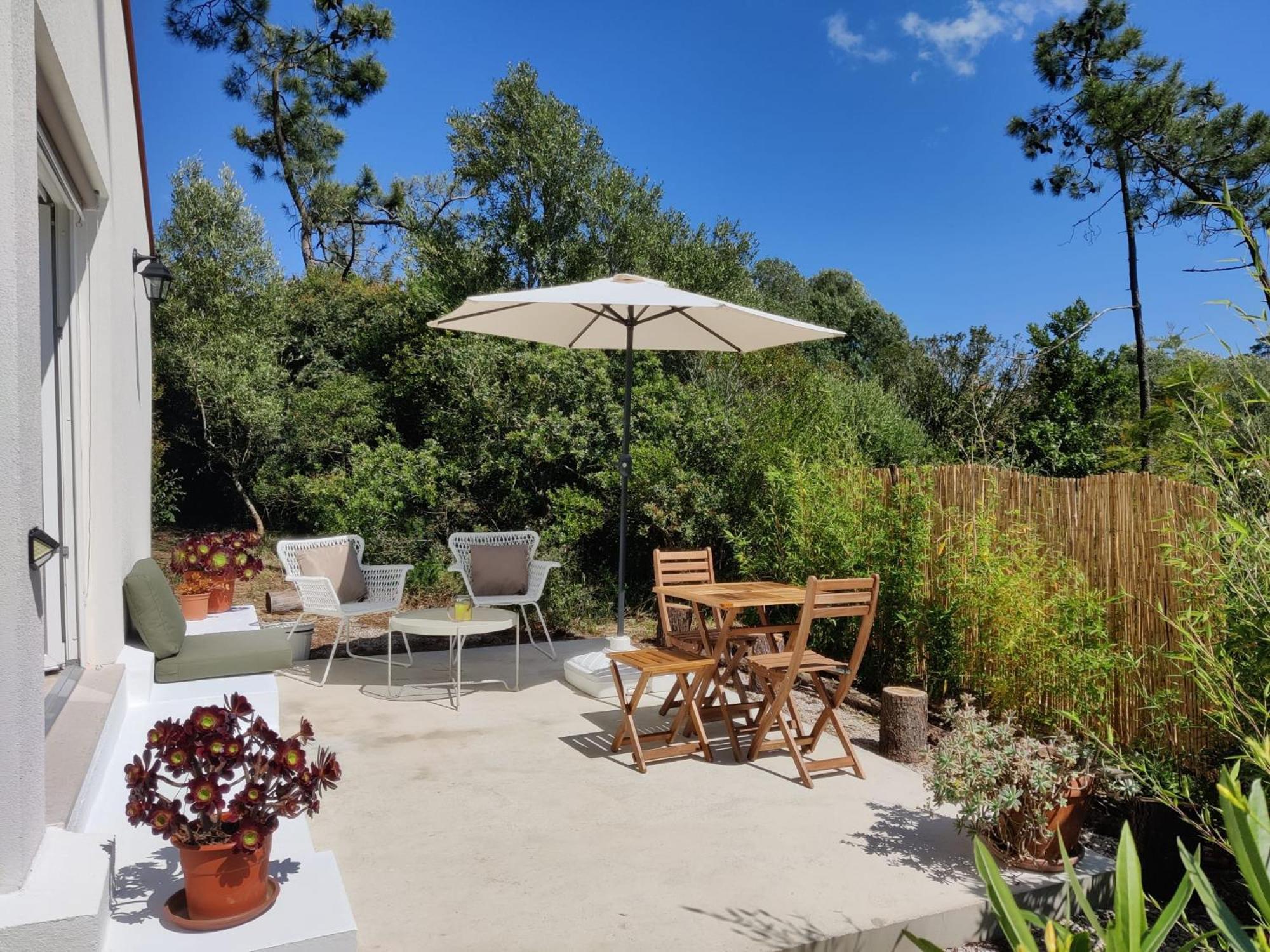 Quinta Do Alento Bed & Breakfast Сесимбра Екстериор снимка